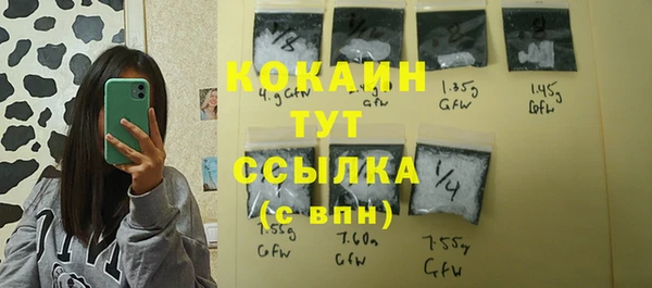прущие грибы Армянск