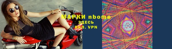стаф Арсеньев