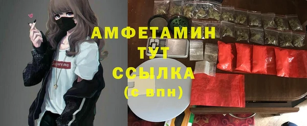 стаф Арсеньев