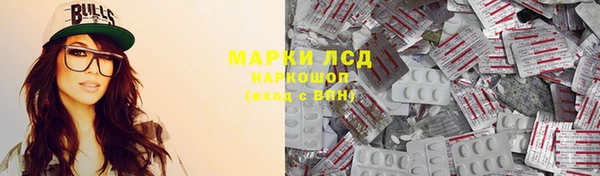 стаф Арсеньев