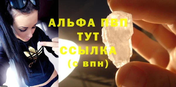 стаф Арсеньев