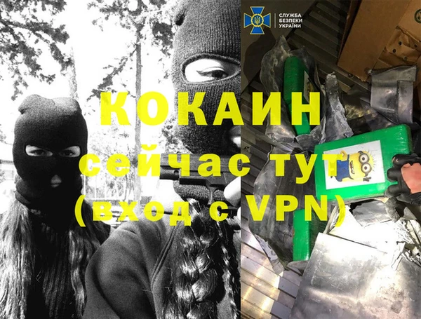 прущие грибы Армянск
