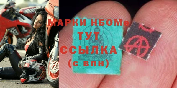 прущие грибы Армянск