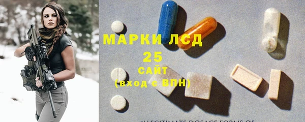 стаф Арсеньев