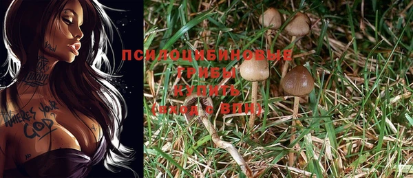 кокаин премиум Аркадак